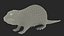Piel de Nutria aparejada