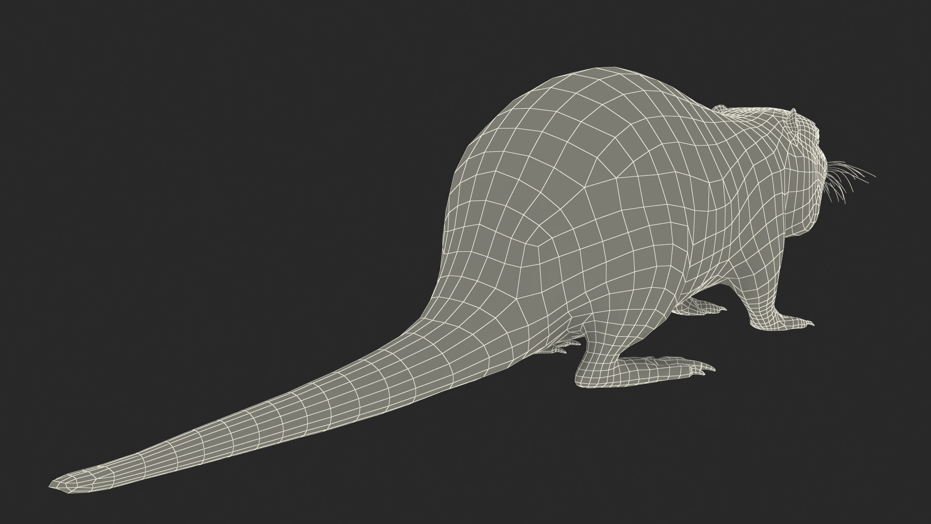 Nutria Fur Rigged 3D model https://p.turbosquid.com/ts-thumb/WG/DYCgd1/oz/nutriafurriggedvray3dmodel040/jpg/1706300867/1920x1080/fit_q87/46c5f2d91e894958aa9858bb6847a7f91b9e2101/nutriafurriggedvray3dmodel040.jpg