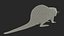Piel de Nutria aparejada