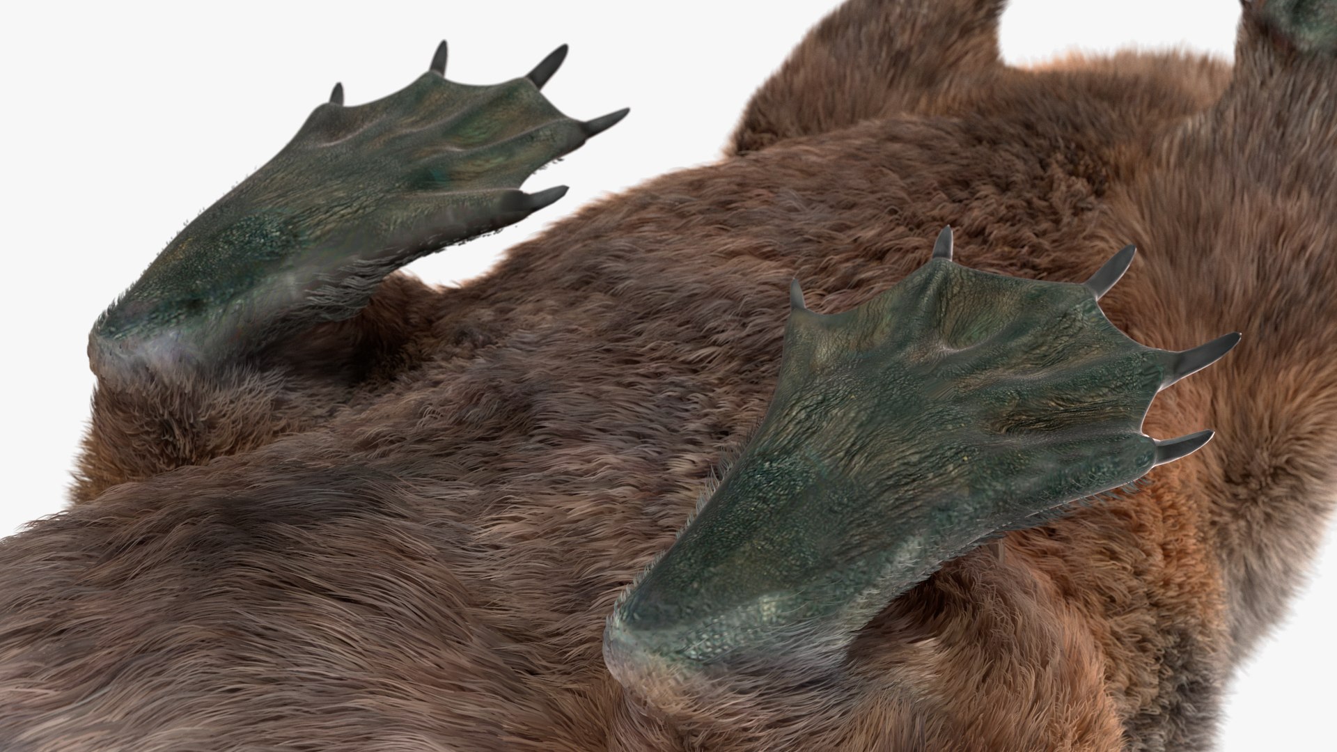 Nutria Fur Rigged 3D model https://p.turbosquid.com/ts-thumb/WG/DYCgd1/tP/nutriafurriggedvray3dmodel025/jpg/1706300793/1920x1080/fit_q87/dc95ea6c915dc8a354e9822b5f35d7ddfaba6be9/nutriafurriggedvray3dmodel025.jpg