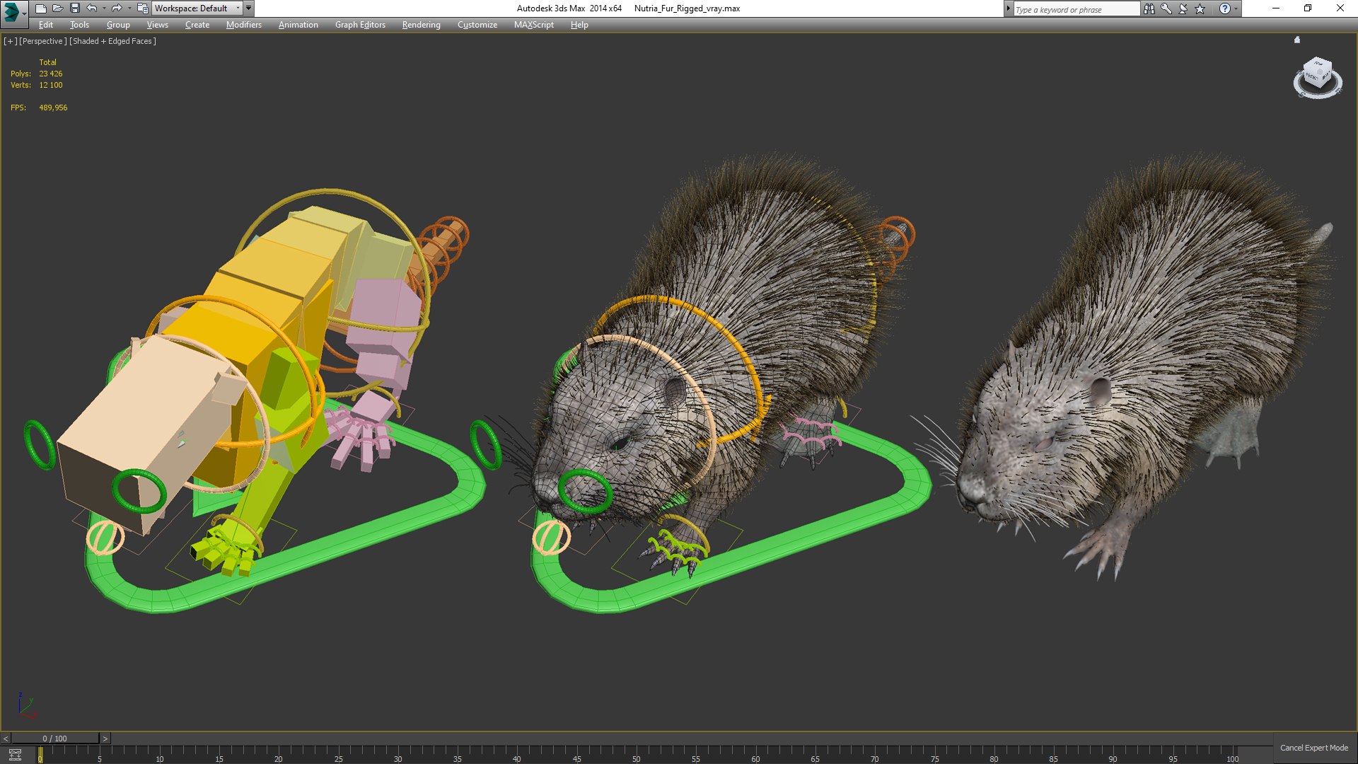 Nutria Fur Rigged 3D model https://p.turbosquid.com/ts-thumb/WG/DYCgd1/xA/nutriafurriggedvray3dmodel033/jpg/1706300834/1920x1080/fit_q87/d6f04bd2d0045e54be6cb25030b2300d2561a60b/nutriafurriggedvray3dmodel033.jpg