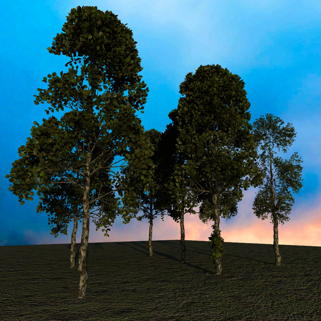 3d Burches Tree Model
