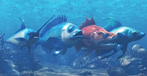 3D Fish Marine life Pack