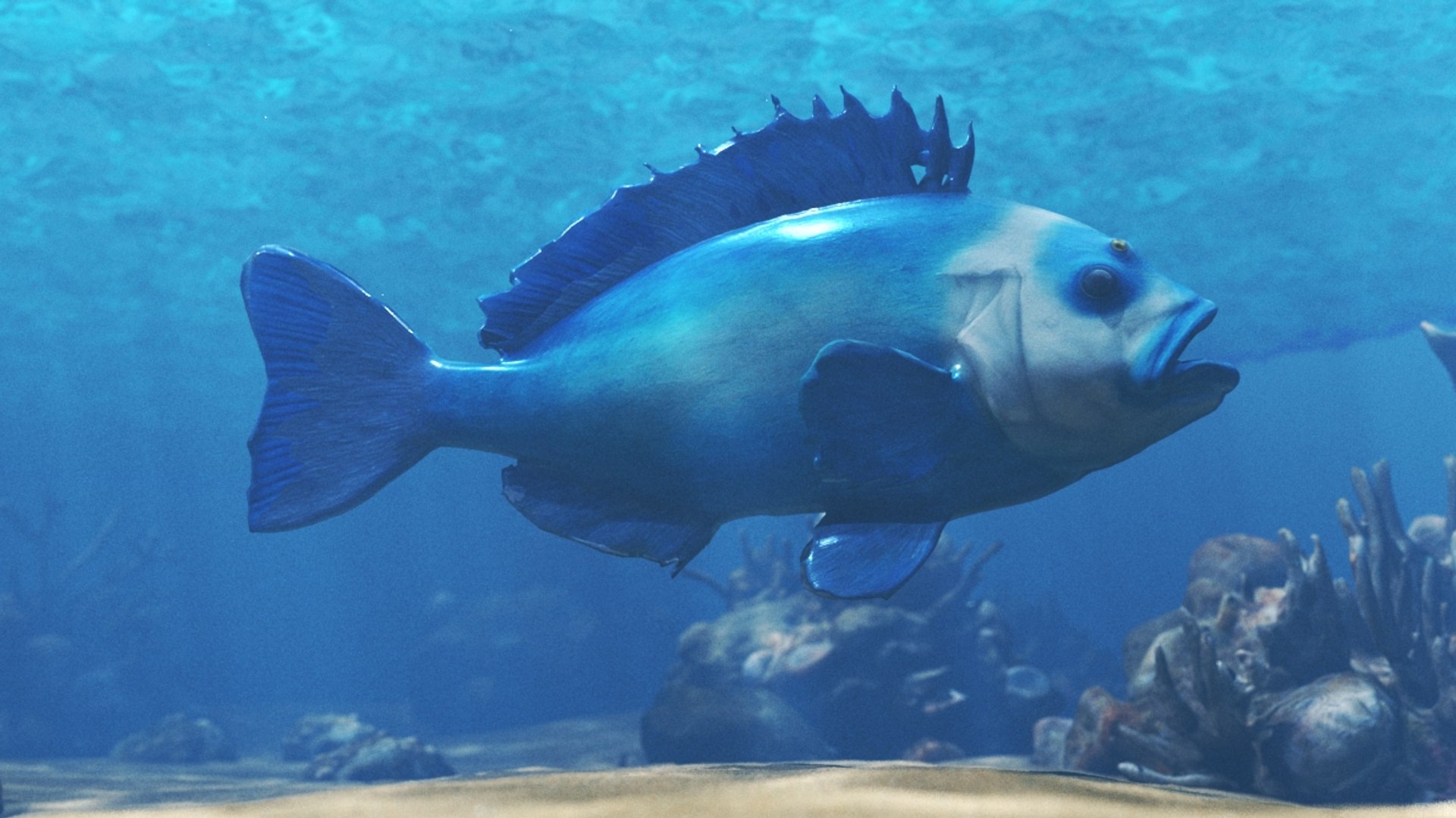 3D Fish Marine Life Pack - TurboSquid 2337911