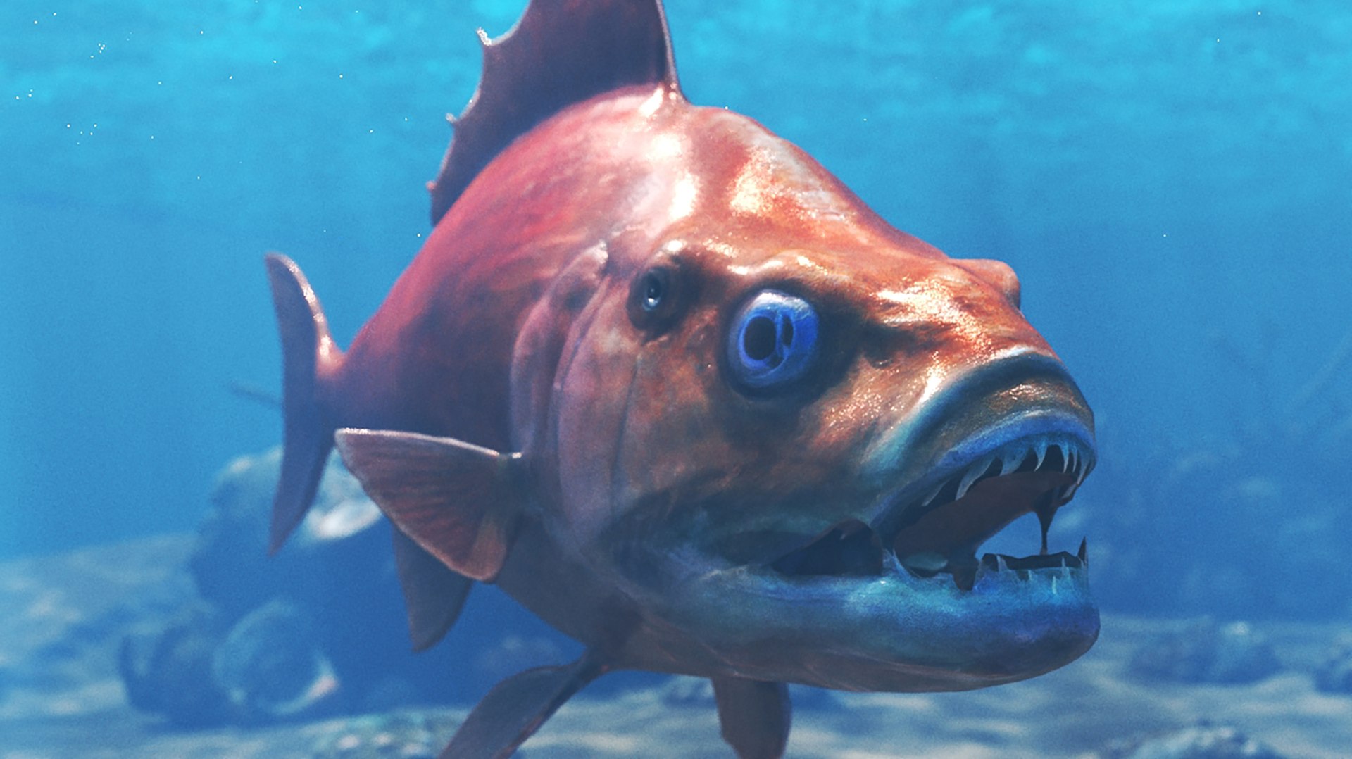 3D Fish Marine Life Pack - TurboSquid 2337911