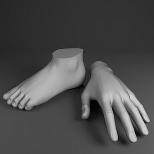 3d model hand foot