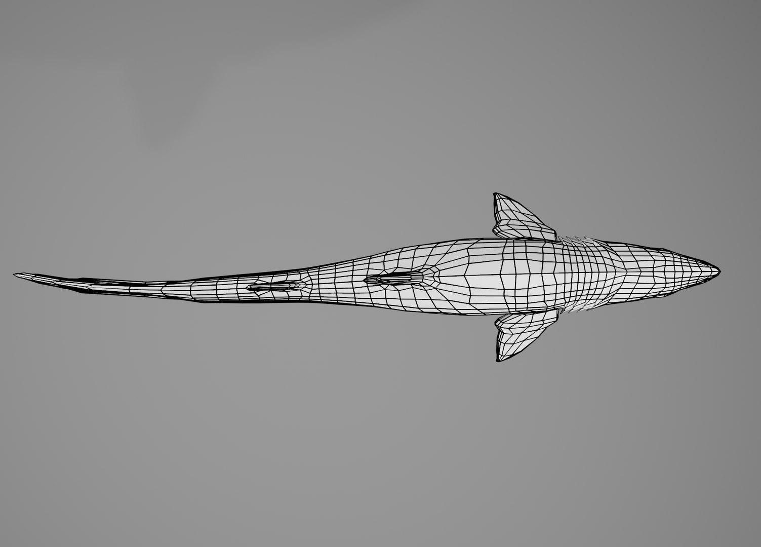 Sand Tiger Shark 3D Model - TurboSquid 1618840