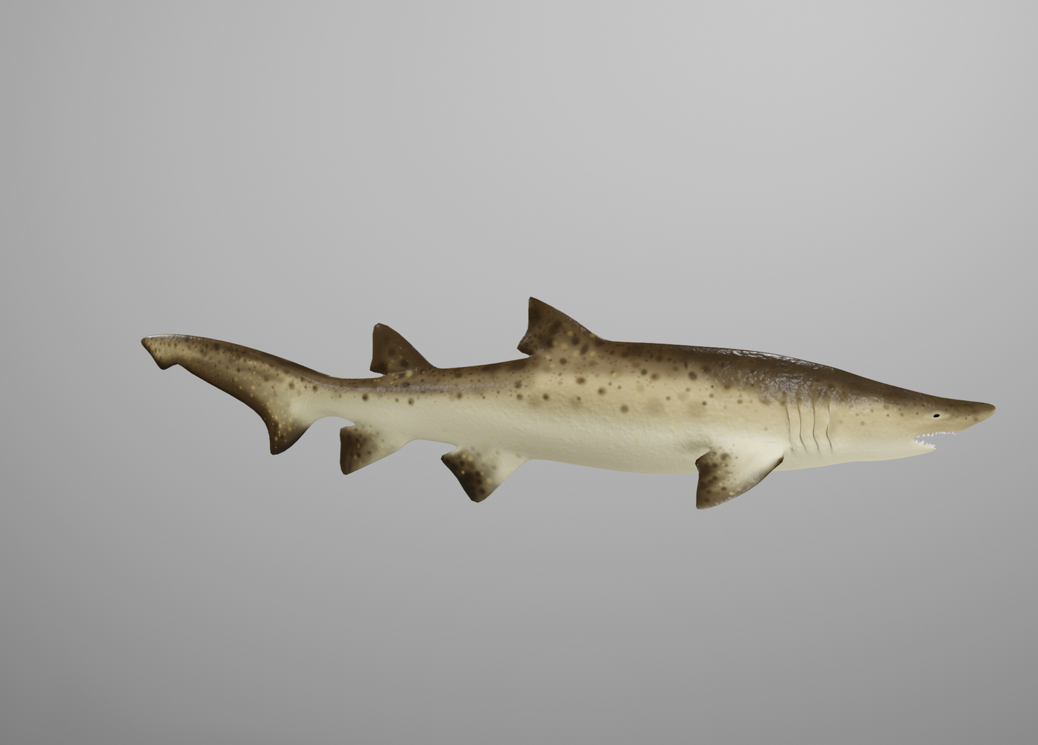 Blender 2.8 Tutorial - Modeling a shark 