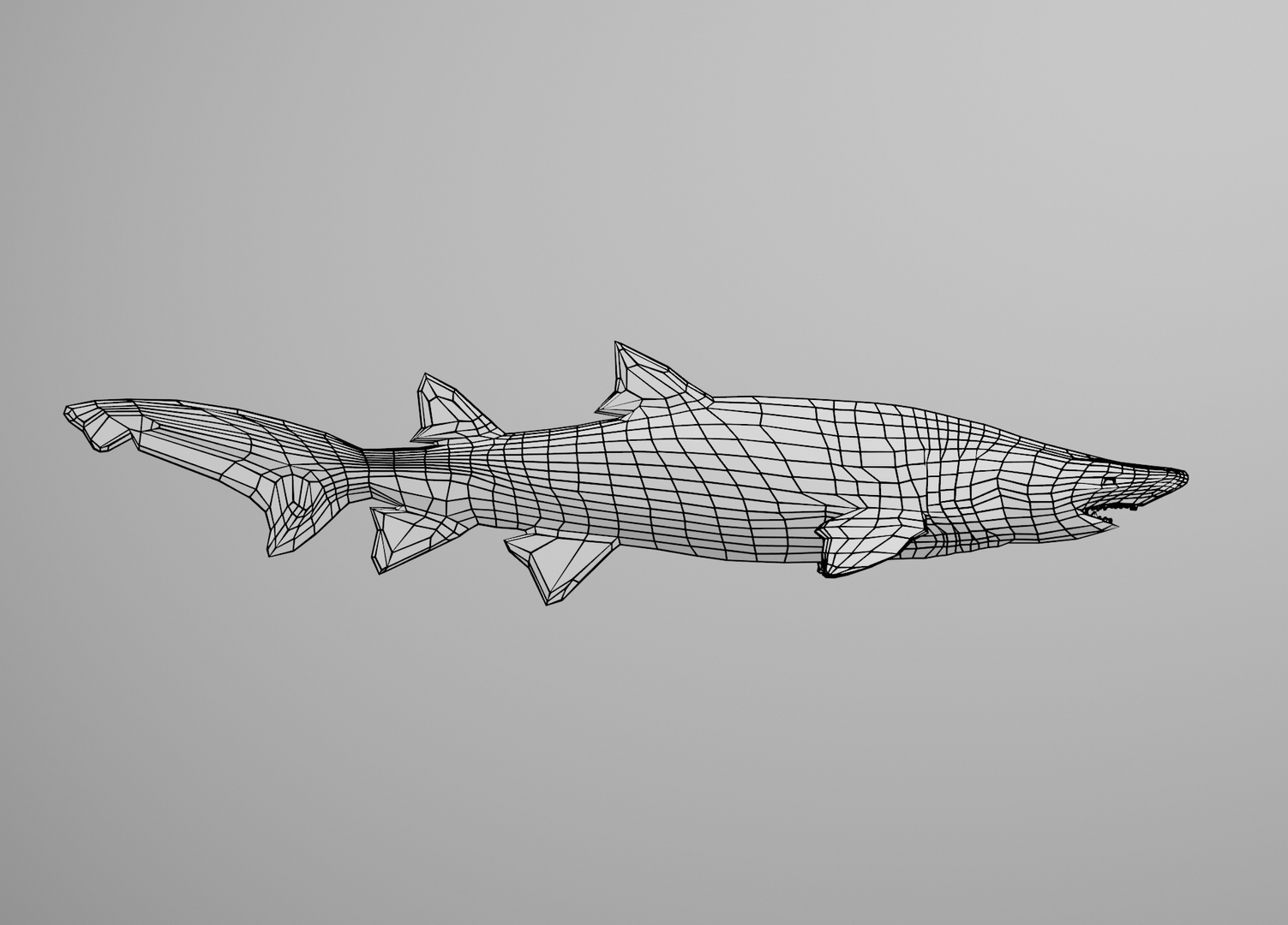 Sand Tiger Shark 3D Model - TurboSquid 1618840
