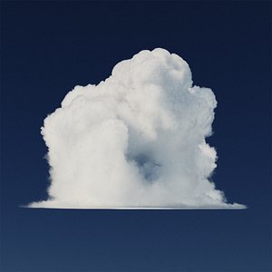 Photorealistic Vdb Cumulus Cloud Type D