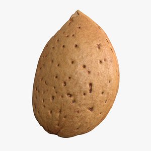 3D Almond Unshelled 3 model