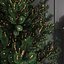 クリスマスデコレーション - 新年ツリー 2