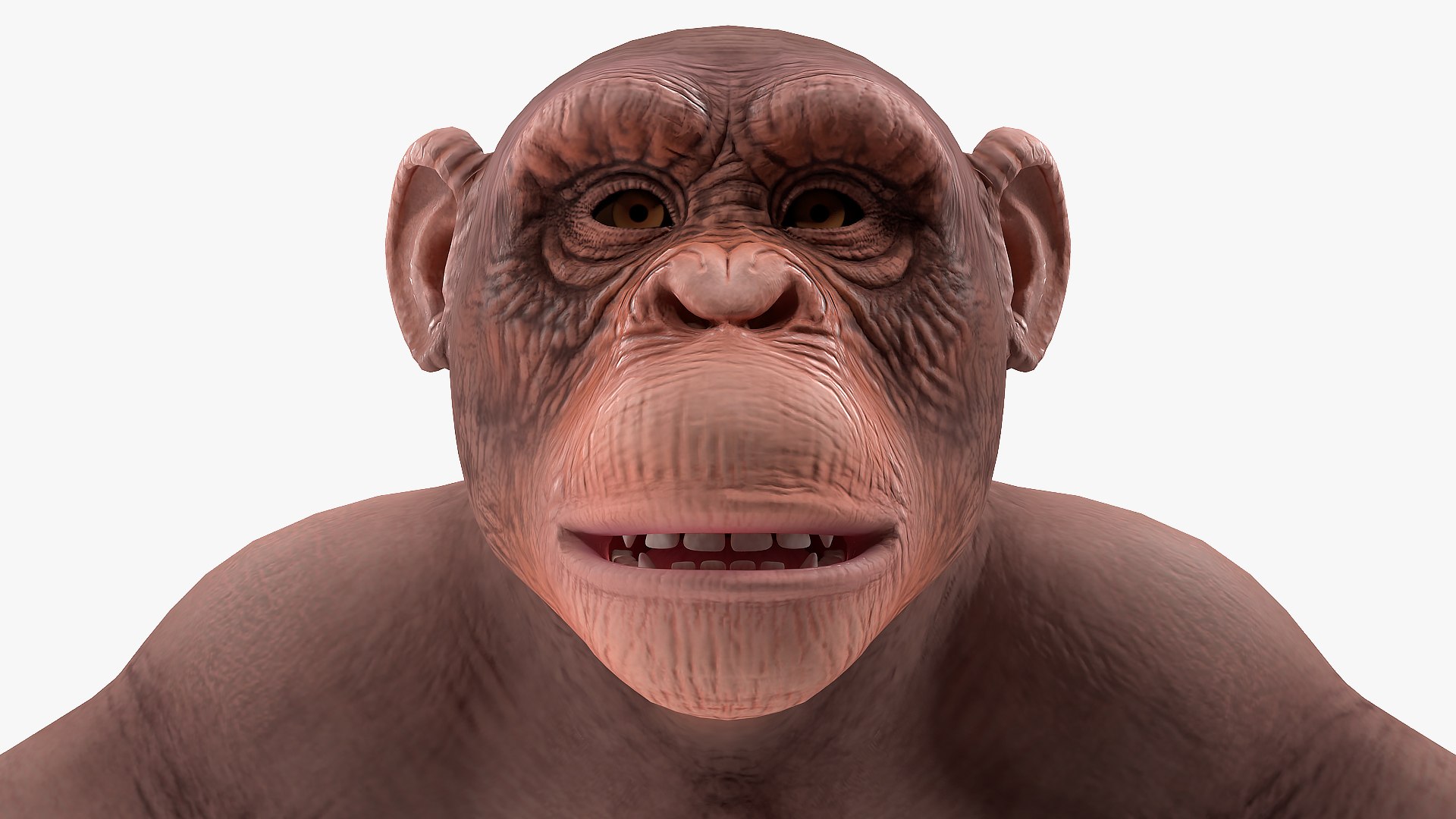 Light chimpanzee rigged 3D model - TurboSquid 1498397