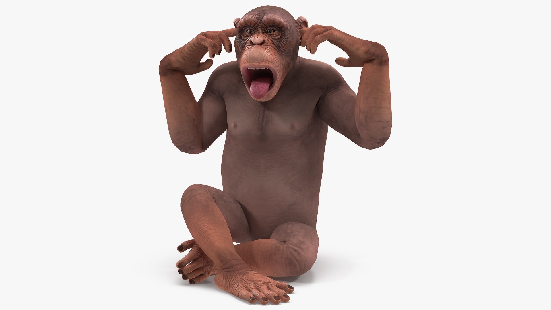 Light Chimpanzee Rigged for Maya 3D model preview