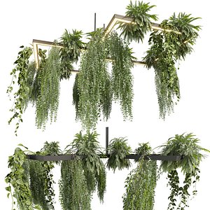 plant vol 999 - Hanging - Pothos - Fern - Chandelier 3D model