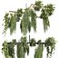 pianta vol 999 - Pendente - Pothos - Felce - Lampadario