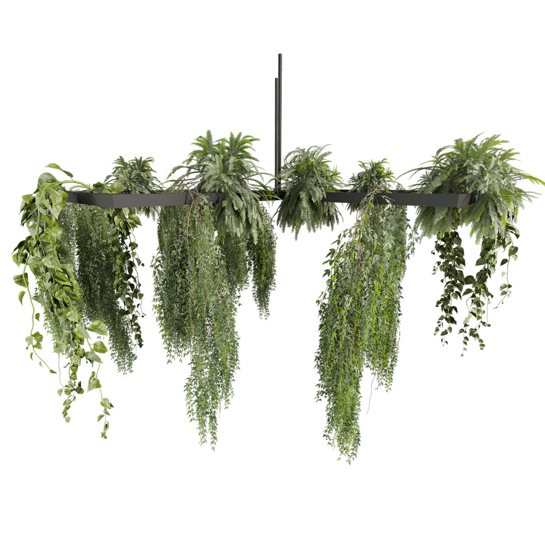 plant vol 999 - Hanging - Pothos - Fern - Chandelier 3D model https://p.turbosquid.com/ts-thumb/WG/uZrj3D/Rb/2/jpg/1787586916/1920x1080/fit_q87/f998d85f2cc6ba2c1972265b1ea0cb64e7211d8e/2.jpg