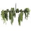 pianta vol 999 - Pendente - Pothos - Felce - Lampadario
