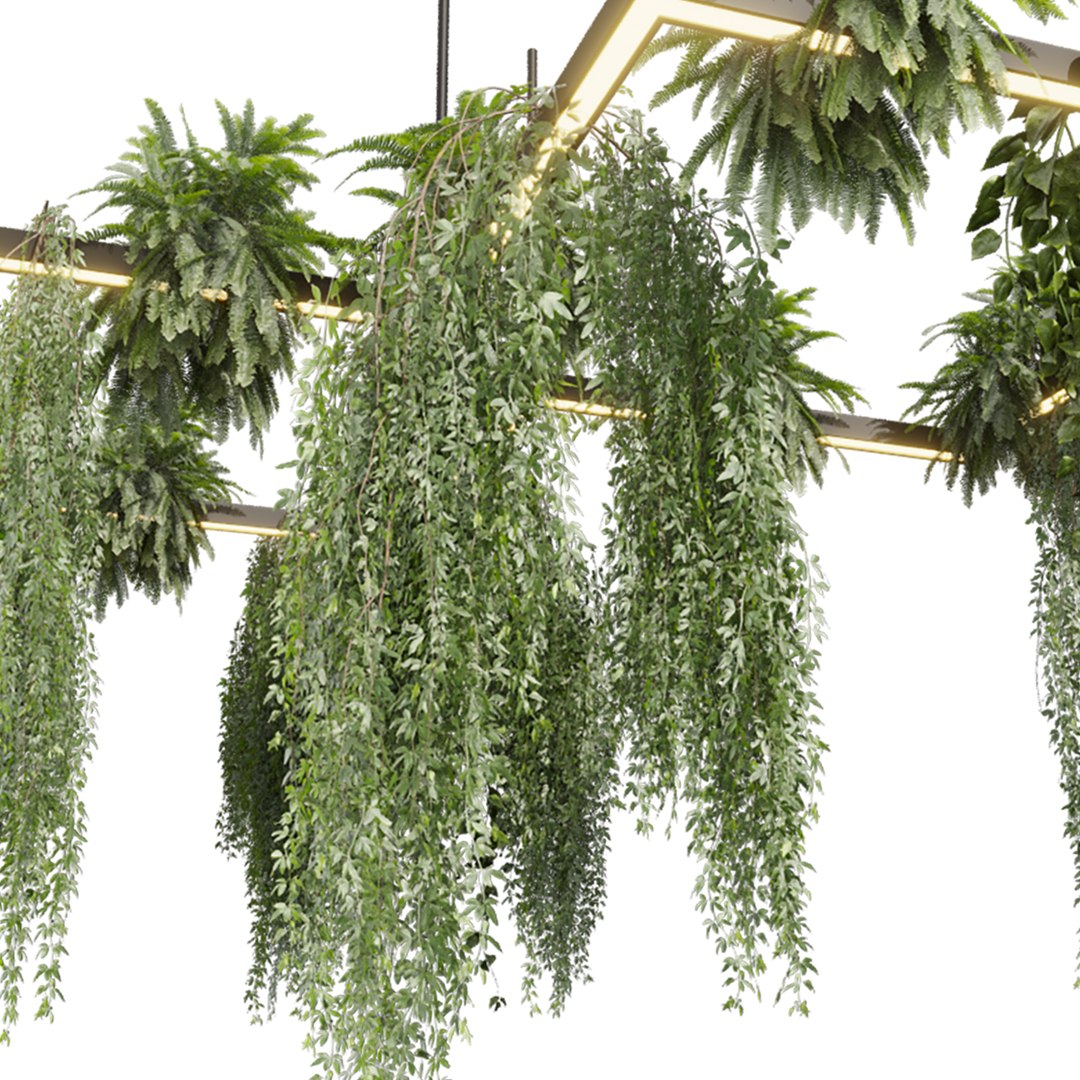 plant vol 999 - Hanging - Pothos - Fern - Chandelier 3D model https://p.turbosquid.com/ts-thumb/WG/uZrj3D/aS/5/jpg/1787586920/1920x1080/fit_q87/d71538a07cb940b0769fc9b7e89697f5169286cb/5.jpg