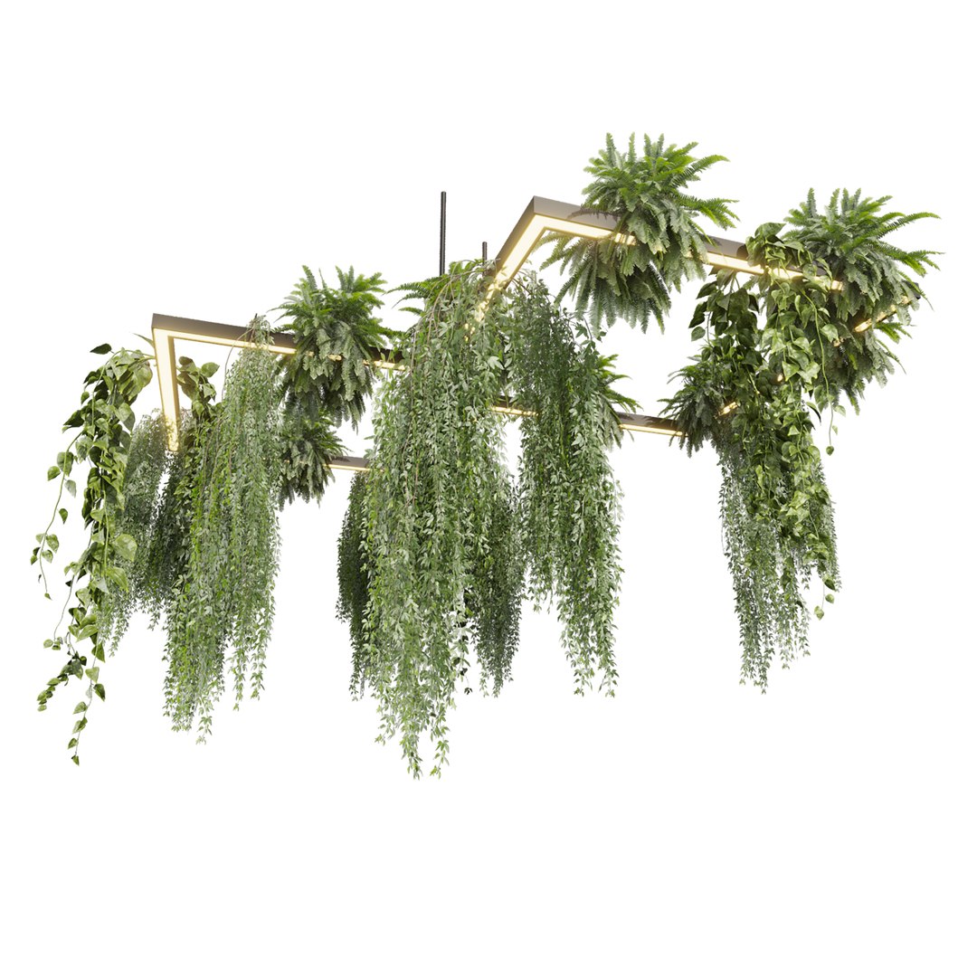 plant vol 999 - Hanging - Pothos - Fern - Chandelier 3D model https://p.turbosquid.com/ts-thumb/WG/uZrj3D/xT/3/jpg/1787586917/1920x1080/fit_q87/4a512127e635877e17825aa0bce6ab4afe7ffc6b/3.jpg