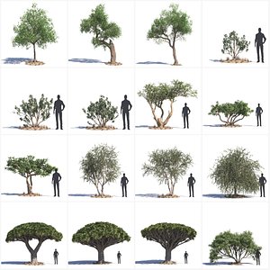 Archmodels Vol 192 3D - TurboSquid 1233473
