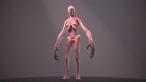 Zombie Long 3D
