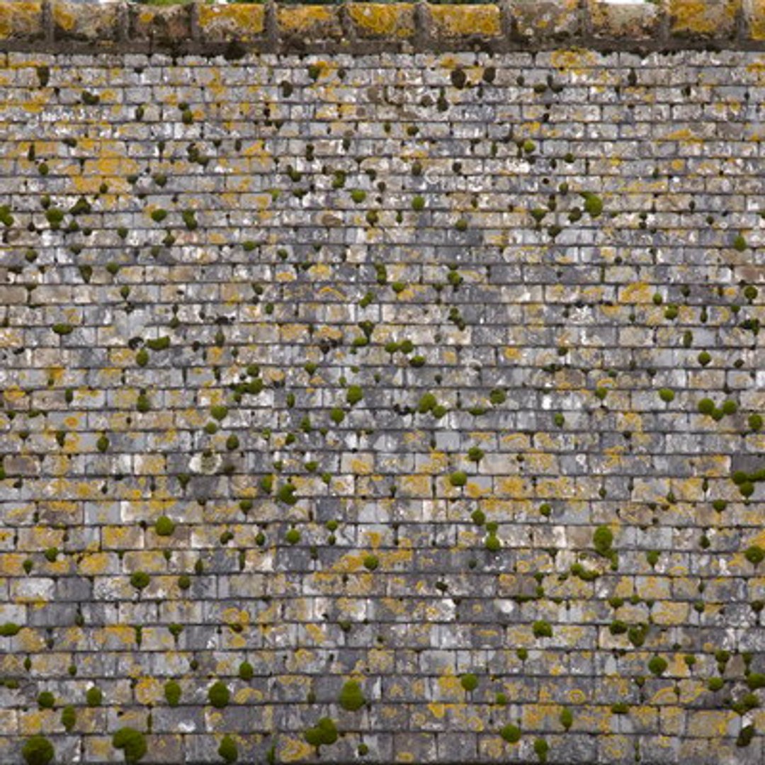 roofs resolution 3d model https://p.turbosquid.com/ts-thumb/WH/6HCHIk/7xUPx5bP/24xb/jpg/1148641217/1920x1080/fit_q87/d2000a407f944aa97239905f708b7c2eda8c2b89/24xb.jpg