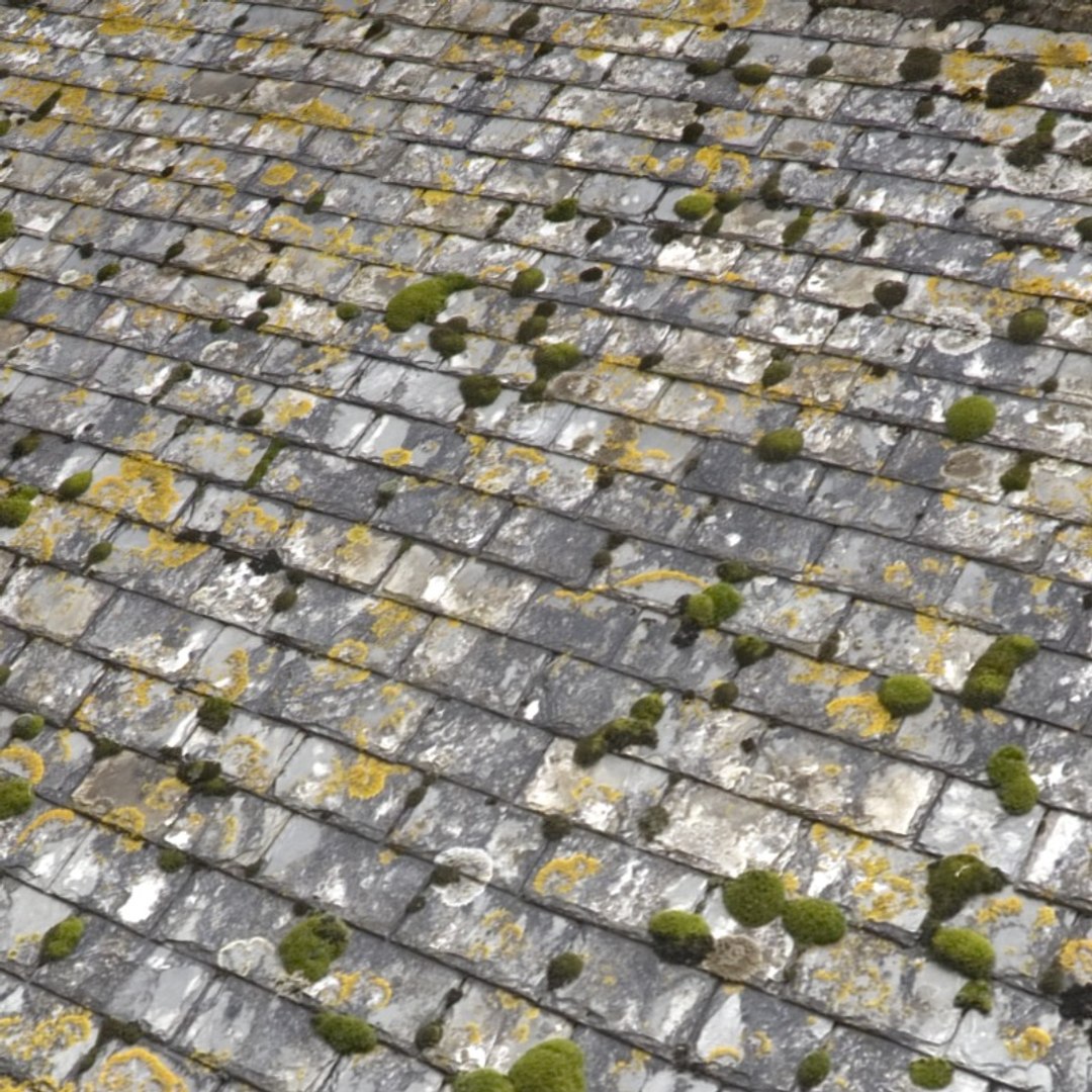 roofs resolution 3d model https://p.turbosquid.com/ts-thumb/WH/6HCHIk/AAadK6EP/24x/jpg/1148641044/1920x1080/fit_q87/9e3cbf1adc614ce15195de5248f824f84a3077ae/24x.jpg