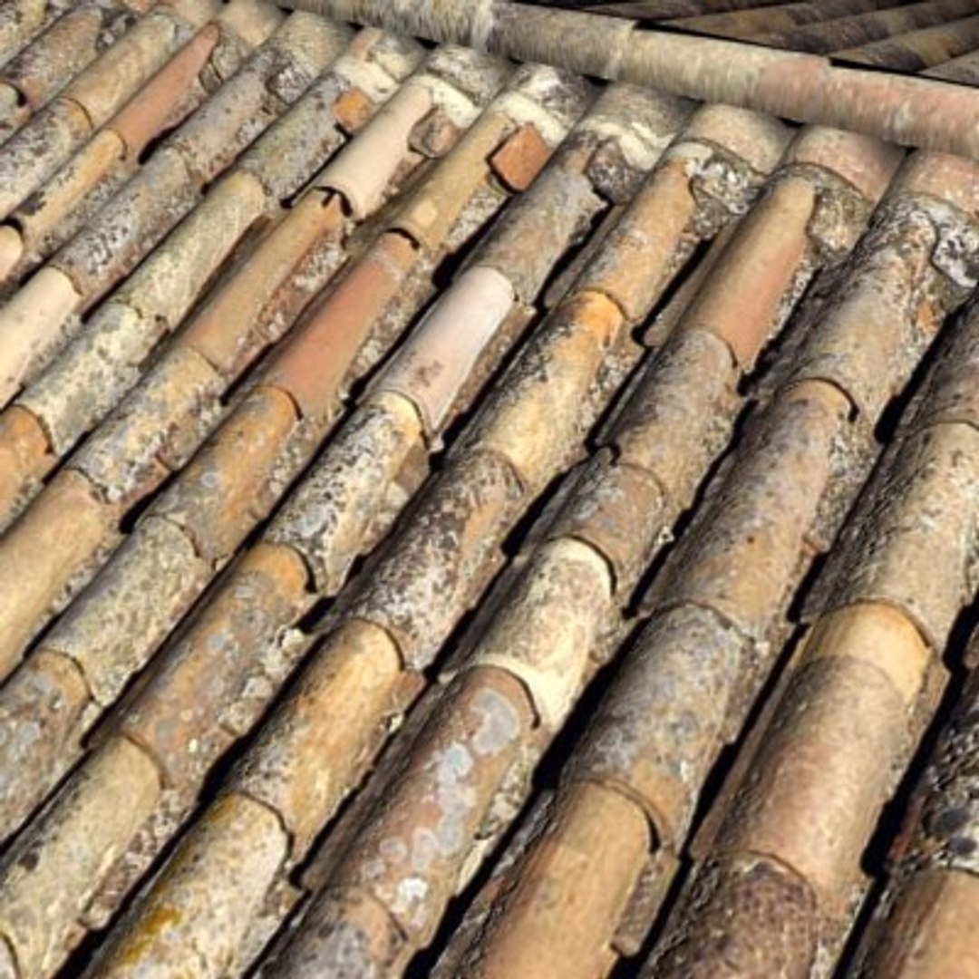 roofs resolution 3d model https://p.turbosquid.com/ts-thumb/WH/6HCHIk/MnJEbNf8/05/jpg/1148639805/1920x1080/fit_q87/2a7de7592ed2c0b6a6b8780d4cd77e78339271d5/05.jpg
