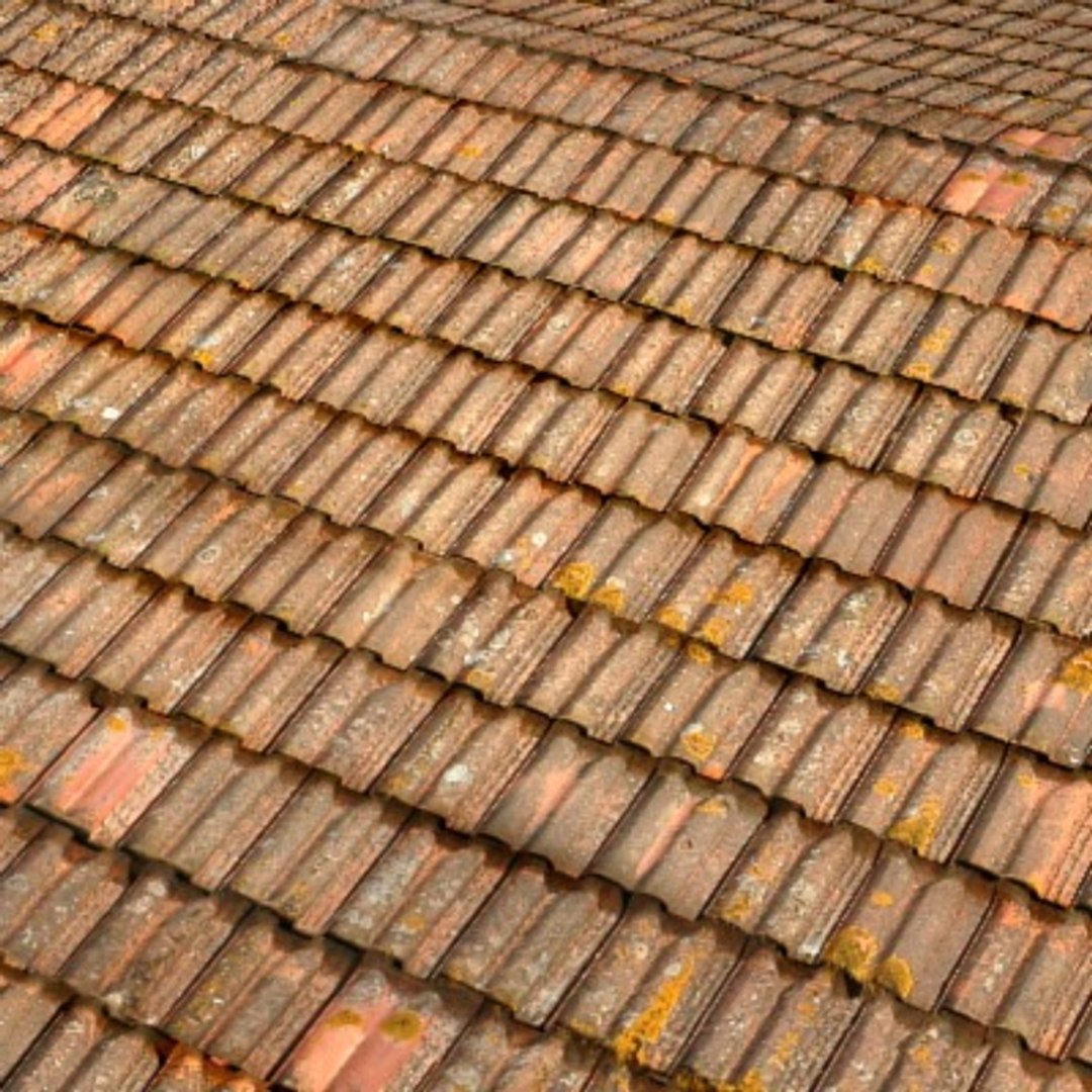 roofs resolution 3d model https://p.turbosquid.com/ts-thumb/WH/6HCHIk/gRIwf6Nh/09/jpg/1148640312/1920x1080/fit_q87/19b10264e32491eb920ebdd85fd55ce4fe62d094/09.jpg