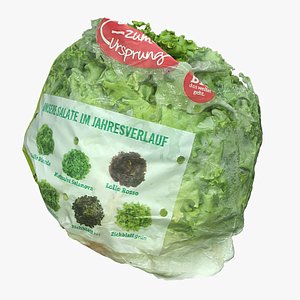 3D model Salad Head 08