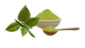 green tea leaf powder 3D model