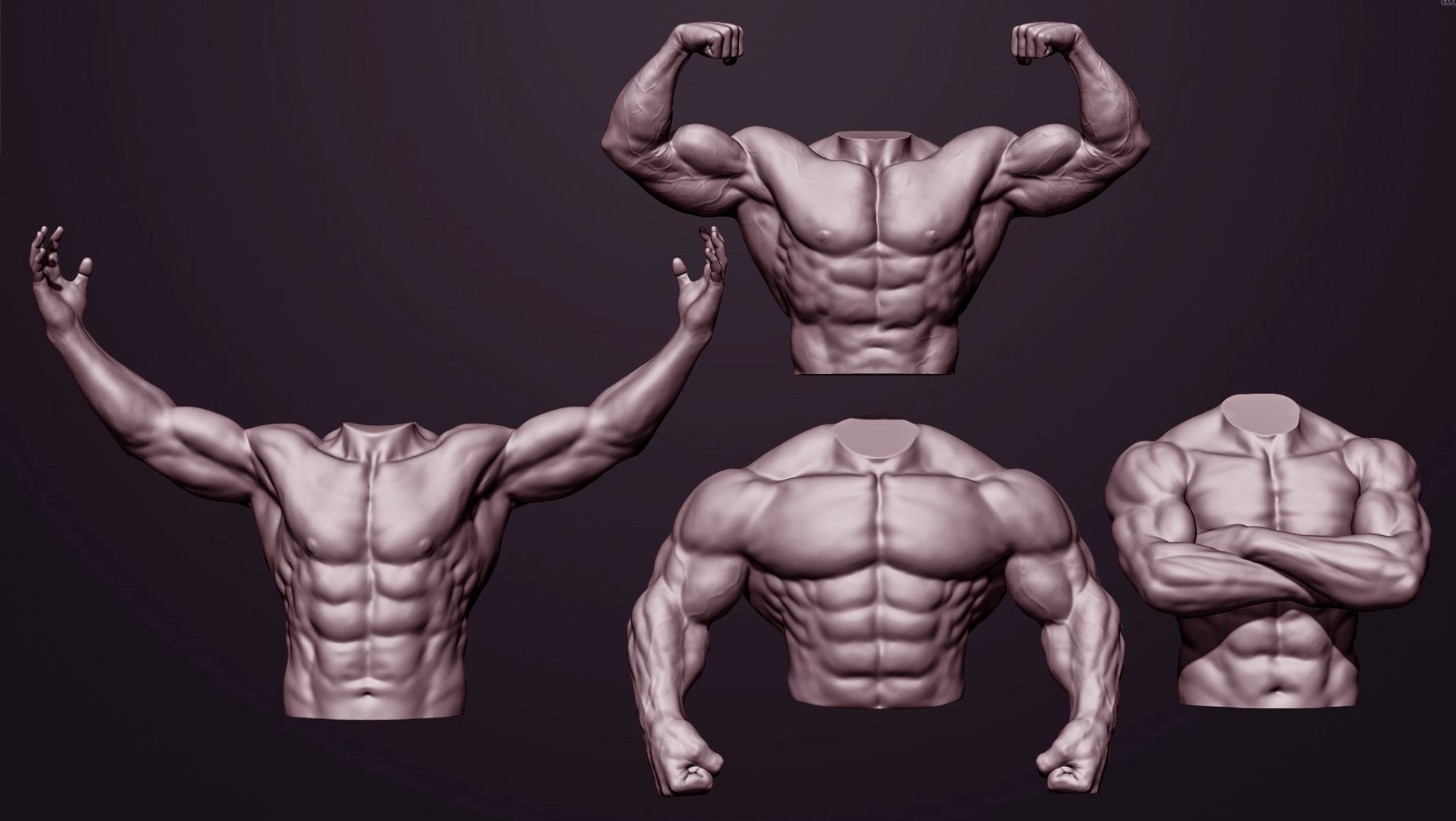 3D 4 Male Torsos Model - TurboSquid 1983744