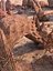 Rock Desert Environent