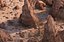 Rock Desert Environent