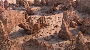 Rock Desert Environent