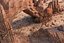 Rock Desert Environent