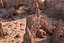 Rock Desert Environent