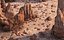 Rock Desert Environent
