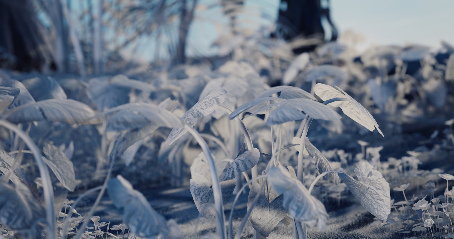 ExteriorBeach 3D model https://p.turbosquid.com/ts-thumb/WH/Kga2yE/gv/shot_1_4k_detaillightingonly/png/1633071911/1920x1080/fit_q87/fc724643bdb911f97cb9ef906cdee83e9ca99d35/shot_1_4k_detaillightingonly.jpg