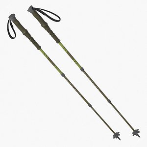 Hiking Poles