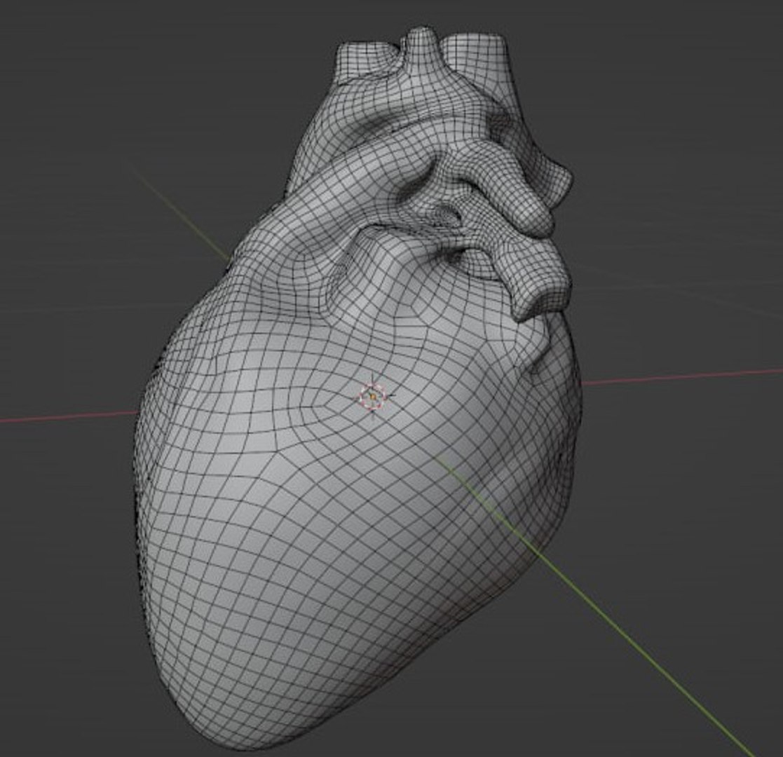 3D Human heart model https://p.turbosquid.com/ts-thumb/WH/hwAKcf/MW/15/jpg/1710191982/1920x1080/fit_q87/3549a8c9c08903d90180278db79e6445a3a395c4/15.jpg