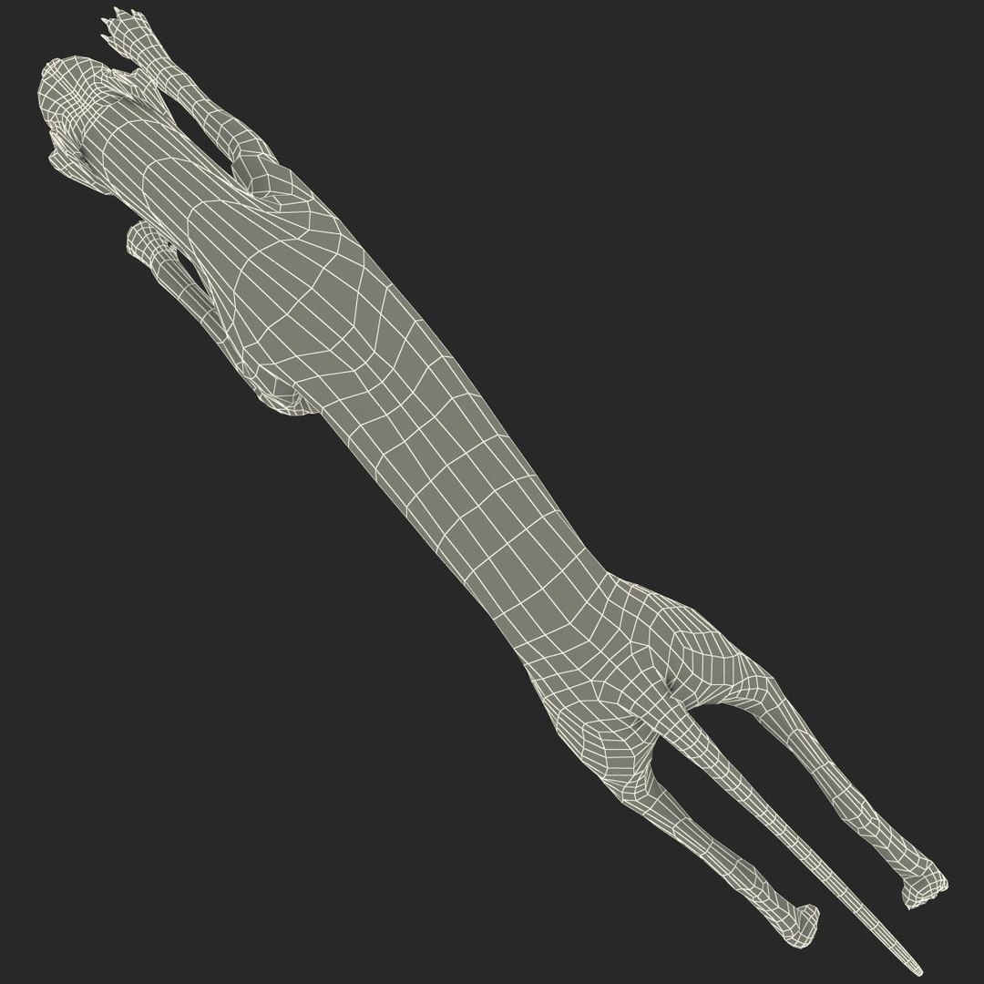 3d model australian greyhound 2 pose https://p.turbosquid.com/ts-thumb/WH/ncslUc/FfwaAidl/australiangreyhound2pose3fur_25/jpg/1393015070/1920x1080/fit_q87/2afc342e4433a38777f0de40d045820e6004ca54/australiangreyhound2pose3fur_25.jpg