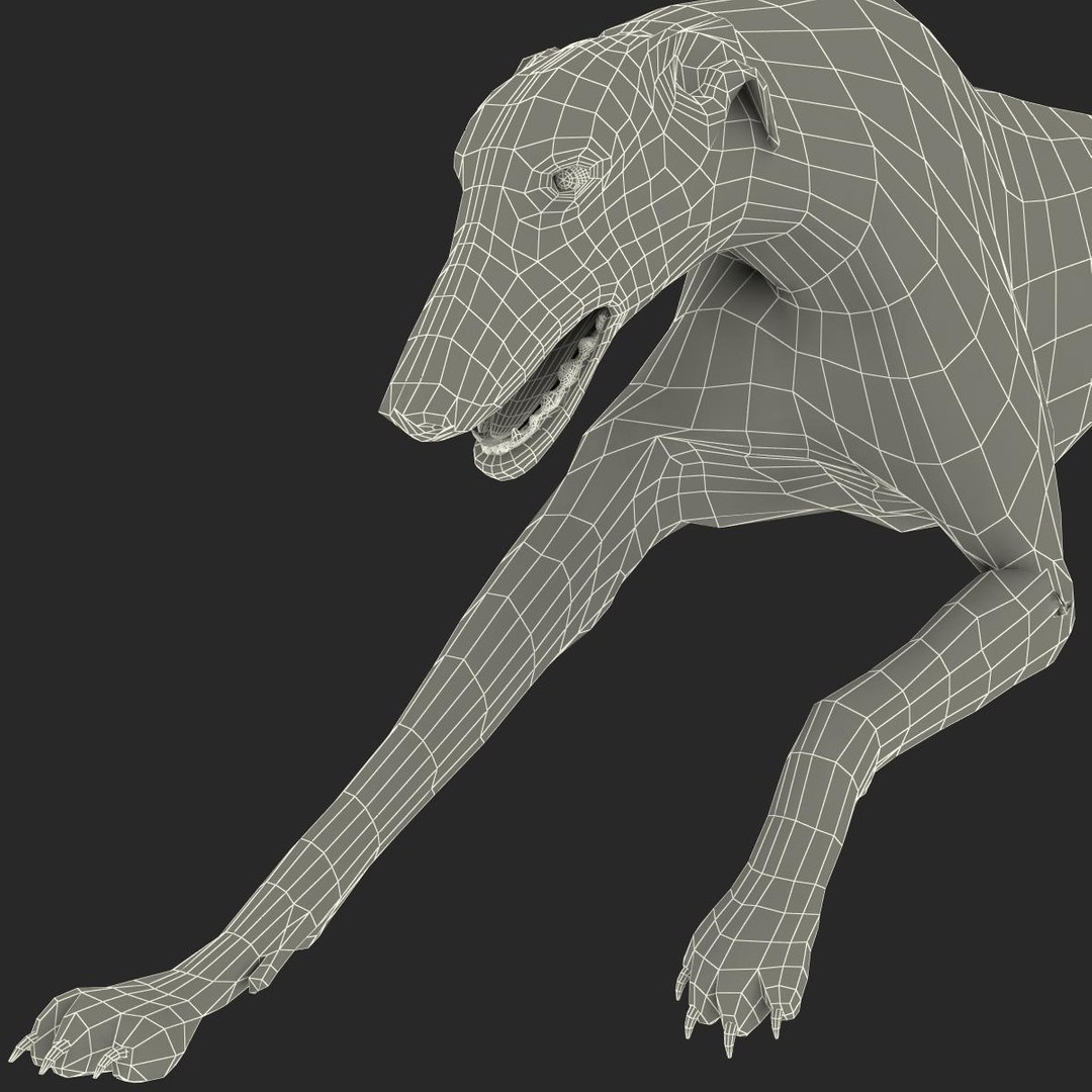 3d model australian greyhound 2 pose https://p.turbosquid.com/ts-thumb/WH/ncslUc/IuqLDc09/australiangreyhound2pose3fur_27/jpg/1393015075/1920x1080/fit_q87/ee6a7f364e4bae8cf2433082f9e6b412850b374d/australiangreyhound2pose3fur_27.jpg