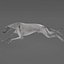 Australian Greyhound 2 Pose 3 Fur