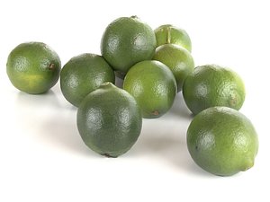 limes 3D model
