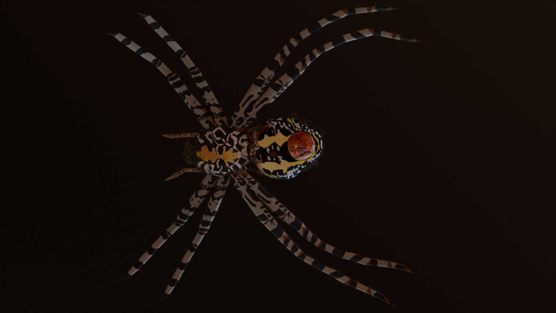 3D Model Spider - TurboSquid 2366910