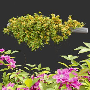 Hanging Plant 23