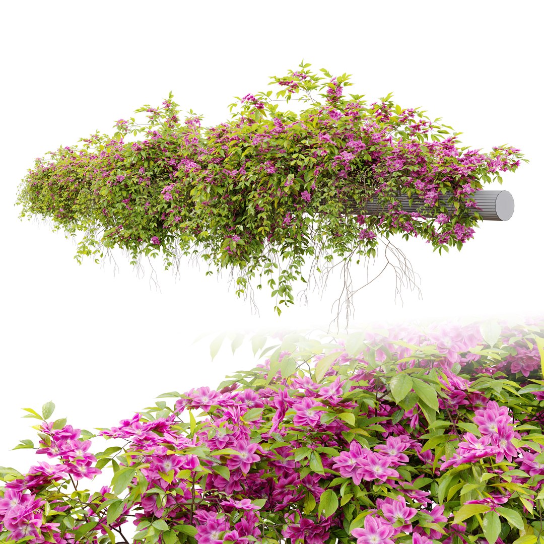 3D Hanging Plant 23 https://p.turbosquid.com/ts-thumb/WI/6wLJnQ/Ga/previewq3thp/jpg/1660106224/1920x1080/fit_q87/541b50982d6a1bc43769af0feaf756d21e735be5/previewq3thp.jpg