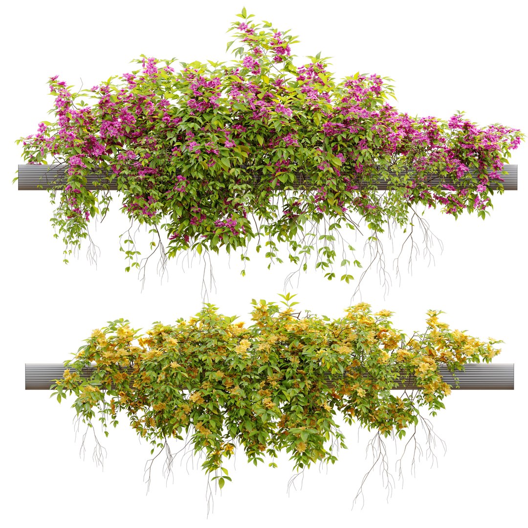 3D Hanging Plant 23 https://p.turbosquid.com/ts-thumb/WI/6wLJnQ/iq/previewq1thp/jpg/1661772308/1920x1080/fit_q87/ea5fb98c4da4783a484ece54470efed388c5d7ae/previewq1thp.jpg